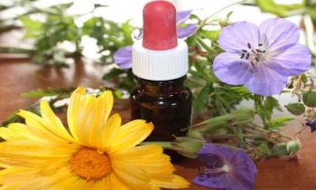 Main Benefits of Aromatherapy